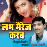Labh Marriage Karab Album Download