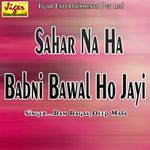 Sahar Na Ha Babni Bawal Ho Jayi Album Download