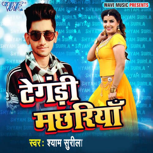 Tengdi Machhariya Shyam Surila MP3 Download