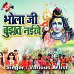 Boalbamb Ke Nara Lagaiha - Mitthu Marshal Song Download