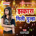 Jhakash Mili Dulha Album Download