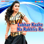 Labhar Kaahe Na Rakhlis Re Album Download