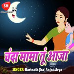 Chanda Mama Tu Aaja - Vicky Babuaa Song Download