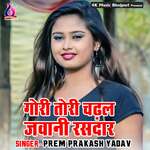 Gori Tori Chadal Jawani Rasdar Album Download