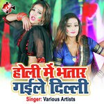 Holi Me Bhatar Gaile Dilli (Bhojpuri) - Raju Raj Song Download