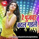 Re Pujwa Kahe Badal Gaile - Sudheer Panday Song Download
