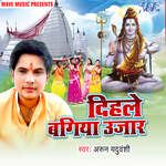 Basaha Dihale Bagiya Ujaar Album Download