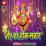 Sher Par Hoke Sawar Ho Album Download