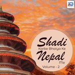 Shadi Karbe Bhaiya Ke Nepal Me, Vol. 2 - Chanchal Chhaila Song Download