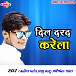 Dil Darad Karela - Amit Patel Song Download