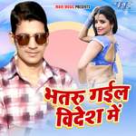 Bhatru Gail Videsh Me Album Download