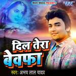 Dil Tera Bewafa Album Download