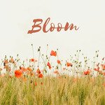 Bloom Album Download
