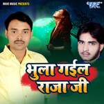 Bhula Gail Raja Ji Album Download