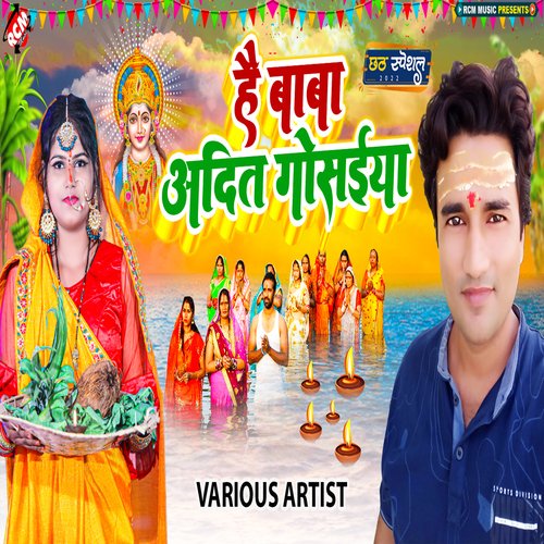 He Baba Aadit Gosaiya Pawan Raja MP3 Download