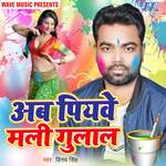 Ab Piyawe Mali Gulal Album Download