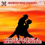 Roje Marela Kapda Utarke - Poonam Pandey Song Download