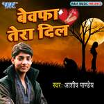 Bewafa Tera Dil Album Download