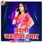 Chadhal Jawani Hamar - Mithu Marsal Song Download