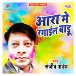 Aara Me Rangail Baadu Album Download