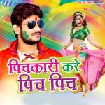 Pichkari Kare Pich Pich Album Download