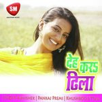 Deh Kara Dhila Album Download