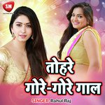 Tohar Gore Gore Gal Album Download