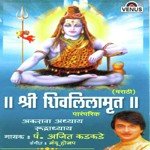 Pandit Ajit Kadkade Songs MP3 Download