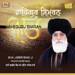 Bhai Jasbir Singh Ji Paunta Sahib Wale Songs MP3 Download