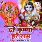 Hare Ram Hare Krishana - Guddu Raja Song Download