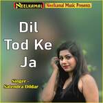Dil Tod Ke Ja Album Download