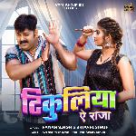 Tikuliya Ae Raja – Pawan Singh