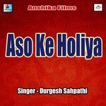 Aso Ke Holiya - Amit Akela Song Download