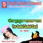 C.G. Badshahh Songs MP3 Download
