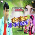 Tora Bina ji Nay Paibo Album Download