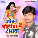 Joban Choliya Me Tisata Album Download