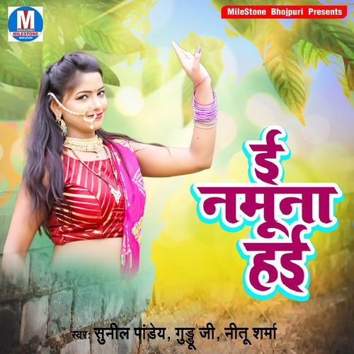 E Namuna Hayi Sunil Panday MP3 Download