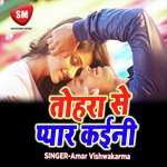 Tohara Se Pyar Kayni (Bhojpuri Song) - Amar Vishwakarma Song Download