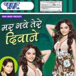 Mar Gaye Tere Deewane - Guddi Gilehri Song Download