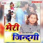 Meri Jindagi - Shobha Singh Song Download