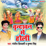 Vrindavan Me Holi Album Download