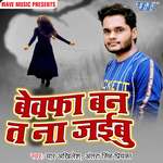 Bewafa Ban Ta Na Jaiebu Album Download
