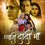 Pyari Dadi Maa (Original Motion Picture Soundtrack) Album Download
