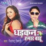 Jitendra Tripathi Songs MP3 Download