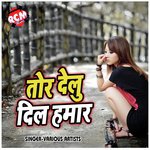 Tor Delu Dil Hamar (Bhojpuri Song) - Rk Dehati Song Download