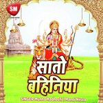Sato Bahinya (Durga Mata Bhajan) - Sunil Bihari Song Download