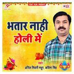 Bhatar Nahi Holi Me - Kavita Singh Song Download