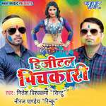 Digital Pichkari Album Download