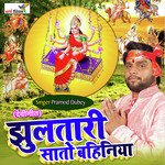 Jhulatari Sato Bahiniya (Devigeet) Album Download