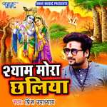 Shyam Bada Chhaliya Album Download